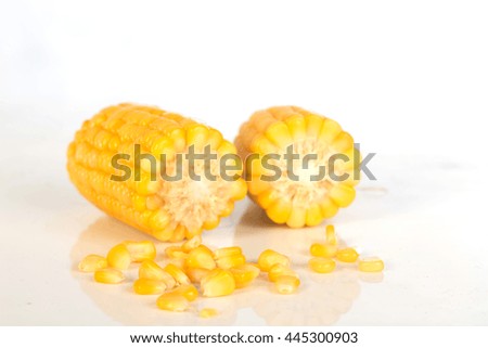 Corn on the cob kernels  Clipping Path on white background , selective focus