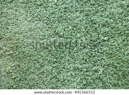 Green Carpet texture