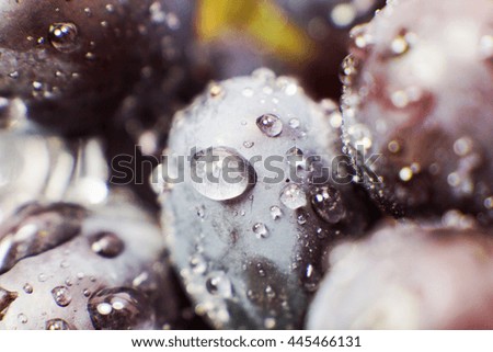 grapes macro picture