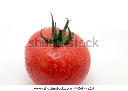 Tomato isolated picture