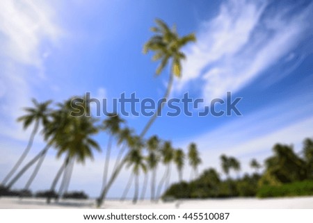 
blurred sea beach with palm trees of Gili Lankanfushi in the Maldives
 ,Background and Abstract
