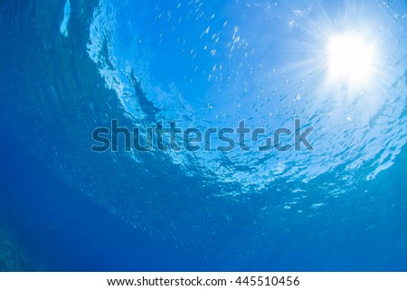 Rays of sunlight shining into sea, underwater view