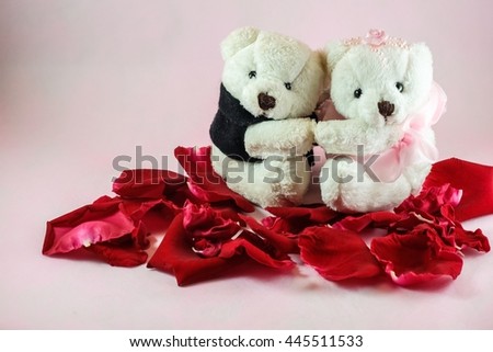Lovely white teddy bear and beautiful rose on pink background 