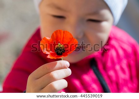 poppy flower in the hand of a boy