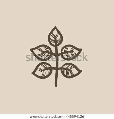 Branch with leaves vector sketch icon isolated on background. Hand drawn Branch with leaves icon. Branch with leaves sketch icon for infographic, website or app.