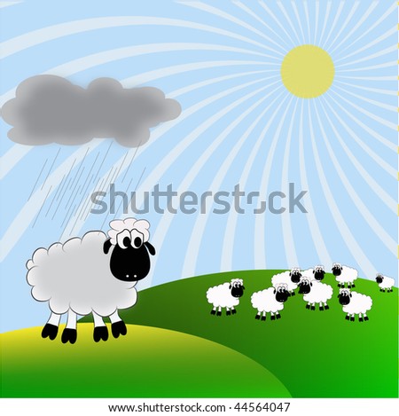 Sheep against the star sky