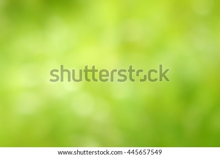 soft green natural abstract background