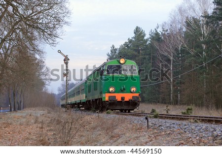 Passenger train hauled by the diesel locomotive passing the forest