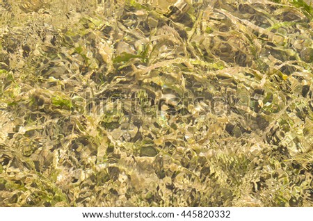 Shallow clear ocean water with sea grass photo