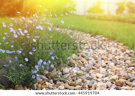 dry creek bed Royalty-Free Stock Photo #445919704