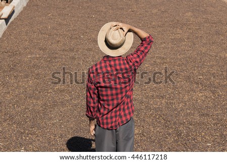 Farmer with hat standing on dried coffee bean, roasted coffee bean in the background