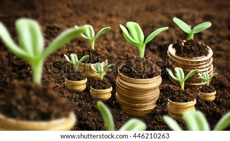 Coins in soil with young plants. Money growth concept.