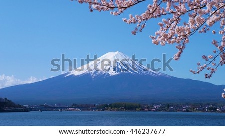 Mount Fuji and cherry-blossoms which are viewed from lake Kawaguchiko, Yamanashi, Japan Royalty-Free Stock Photo #446237677