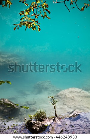 picturesque portrait view on tree leaves hanging over turquoise soca river limestone rocks, tolmin, slovenia