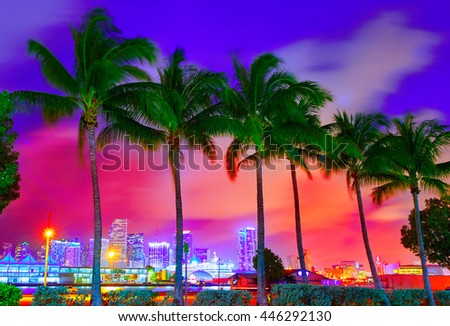 Miami skyline at sunset with palm trees in Florida USA