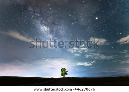 The Lonely tree under the starry night sky and the milky way.