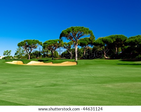 Beautiful landscape picture of a golf court with pine trees
