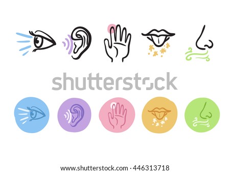 Hand drawn icons representing the five senses Royalty-Free Stock Photo #446313718
