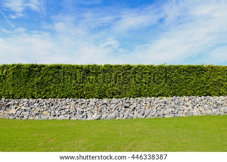 beautiful green fence,green field and stone with blue sky and cloud as background
