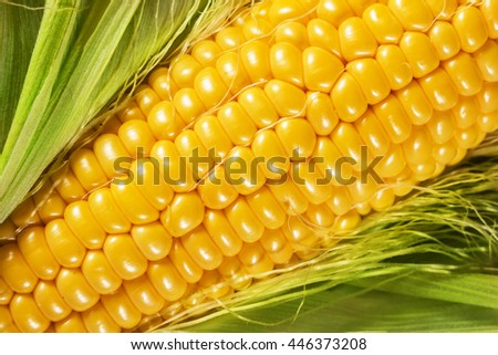 Macro photo of yellow corn background, healthy and tasty food