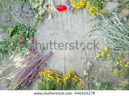 medicinal herbs lying on wooden background with place for text