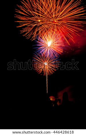 beautiful Fireworks light up the sky,Happiness time