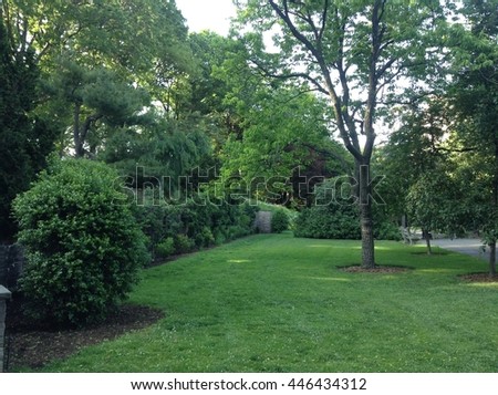 Landscape of Botanic Garden in summer, NYC