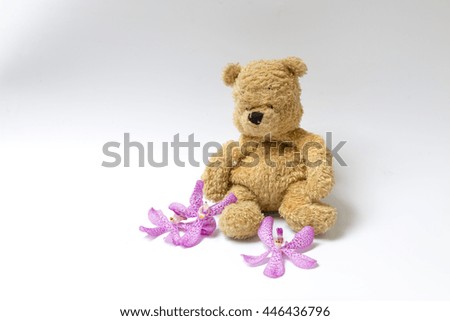 Bear with purple orchid on white background