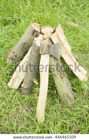 pile of firewood with an ax on a green grass