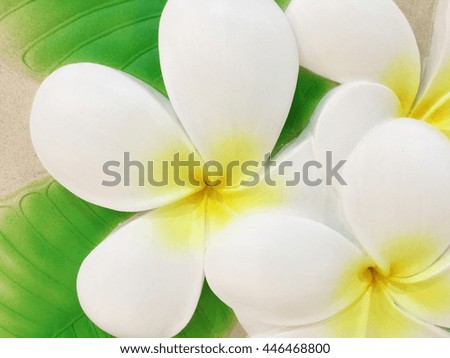 Low relief cement Thai style handcraft of frangipani flowers