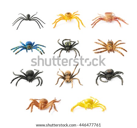 Fake rubber spider toy isolated over the white background, set of multiple different foreshortenings