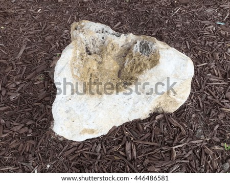 White stone on small pieces of chop tree bark