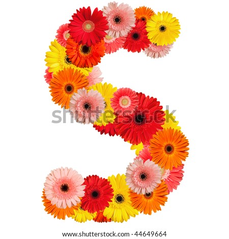 Beautiful alphabet of flowers - isolated on white