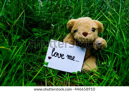 love me bear teddy
