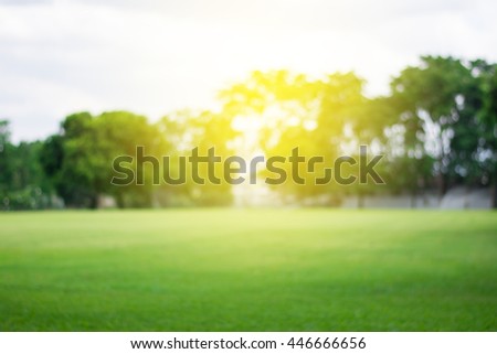 Lawn blur with soft light for background