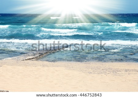 Sea shore background