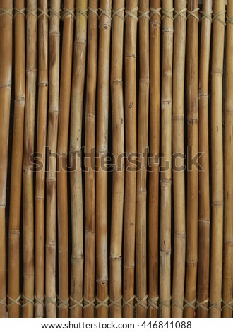 Dried bamboo sticks decorative background
