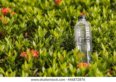 Drink water bottles on the tree rubiaceae.
