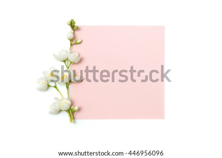 branch of blossoming jasmine and blank pink card isolated on white background
