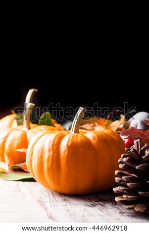 Autumn pumpkin, pine cone and leaves. Selective focus. With copy space.