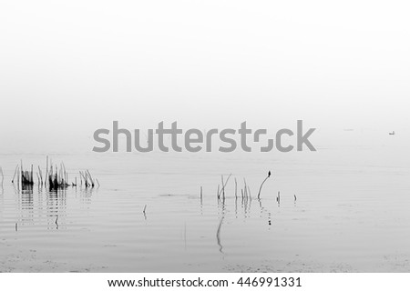 Chilka Lake, Black and white landscape, Orissa, India
