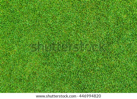 background of beautiful green grass pattern from golf course