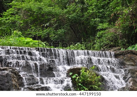 High waterfall in a forest 