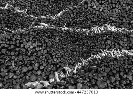 The Black and White patterns of the mangrove firewood stacking in the lumber yard nearby the mangrove forest ,Southern of Thailand