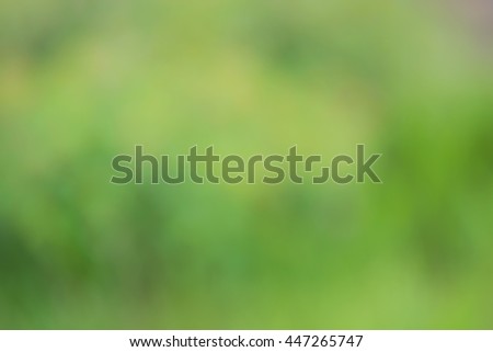 Grass blurry soft background. Pale romantic green tones.