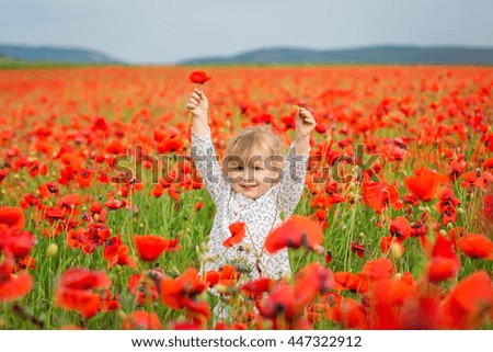 Little cute girl with a bouquet of poppies stands in a field of poppies.