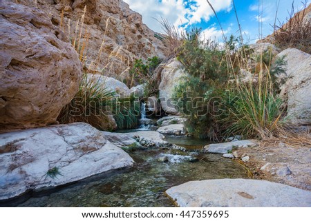 Picturesque rocky gorge with  noisy waterfall and rapid creek. Ein-Gedi - the reserve and national park of Israel