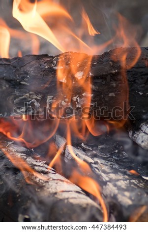 flame burning texture, blazing fire, flame, burning logs, firewood, coal, ash, smoke, fire