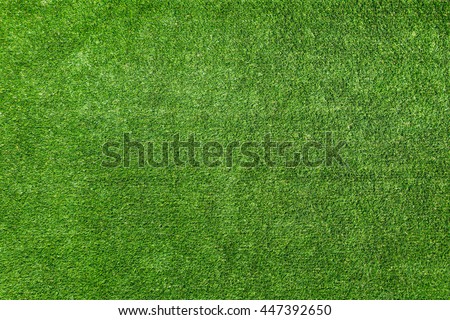 grass background texture,green lawn top view Royalty-Free Stock Photo #447392650