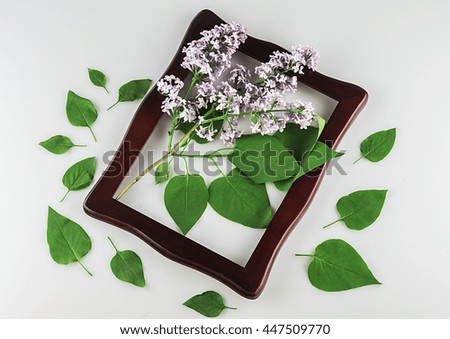 Beautiful lilacs in a brown frame on a light background